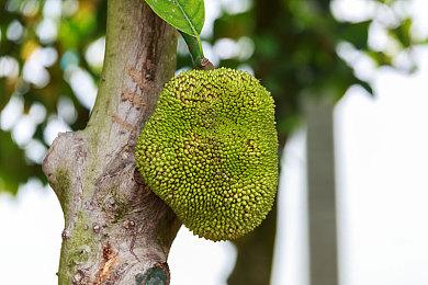 全新多人联机大乱斗派对游戏《任务时间》首次公开Steam页面！限时测试现已开启！